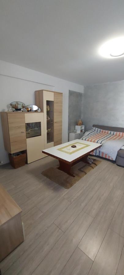 Apartament Nina Apartment Năvodari Exterior foto